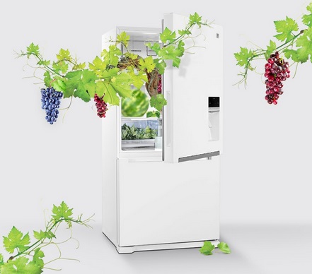 یخچال بالا فریزر دوو مدل D4BF0028GW